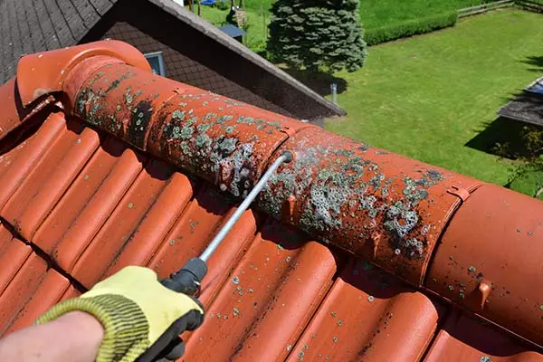 NETTOYAGE ET DÉMOUSSAGE